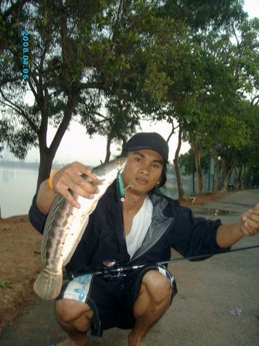 เย้..เย้.....
  ....มีรูปลงกับเค้าซะที.....
      