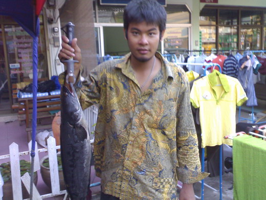 น้องปืน(น้องใหม่)ไปด้วยแต่ไข่บวมเล