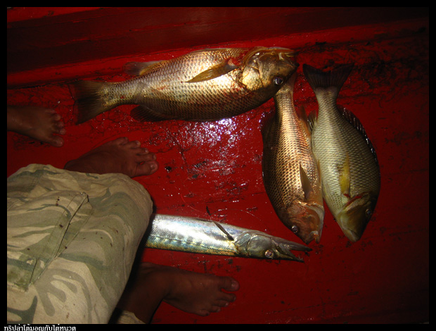 เดินไปเช็คผลฝั่งข้างเรือ อืมมมมมมม