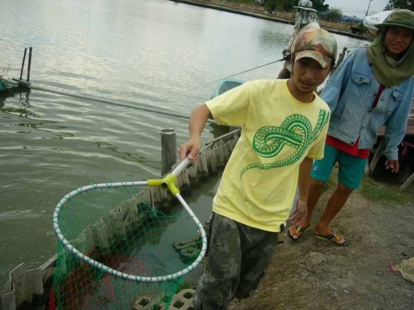 โจ้ มาช่วยช้อนปลาให้ :grin: