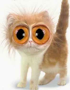  :cheer: :cheer: :cheer: :cheer: :cheer: