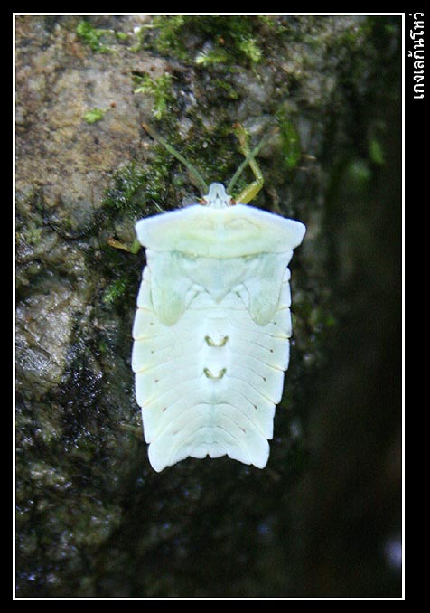 เดินจนบ่าย ถึงได้พักกินข้าวเที่ยงก