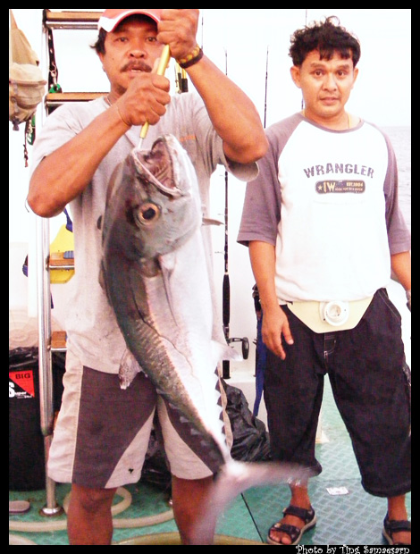           ส่วนของพี่บันเทิง กลับเป็น Dog Tooth Tuna ครับขนาด เกือบ 20 โล แหมๆๆคนอะไรเนี่ย ตกปลาไม่ซ้