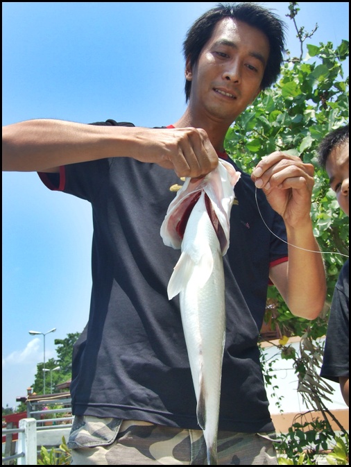 กะพงแม่น้ำของแท้ หน้าตาเป็นอย่างนี้ นี่เอง  :grin: :grin: :grin: :grin: :grin: