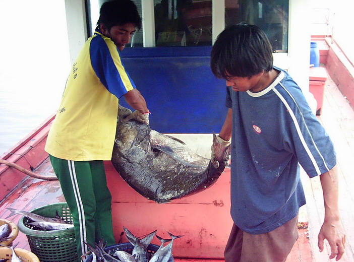 2 พี่น้องช่วยกันยกเจ้า  GT ทีละตัว