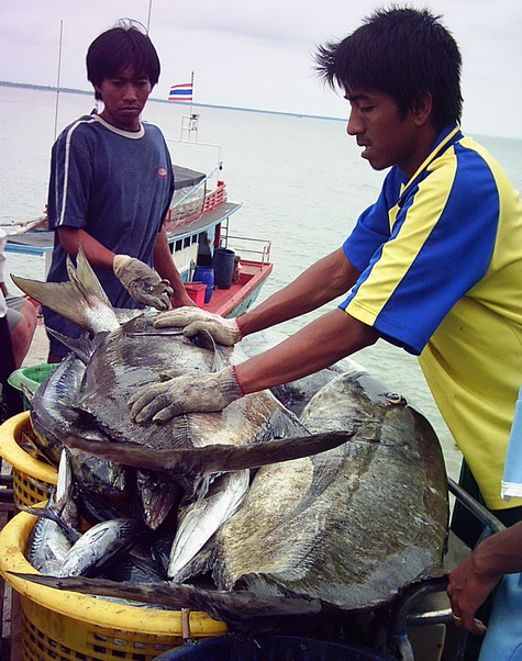 กัปตันดีนสุดยอดเรื่องบริการตั้งแต่ต้นจนจบ  ผมถีอว่าเรือลำนี้สุดยอดในเรื่องความขยัน และบริการ ถือว่าเ