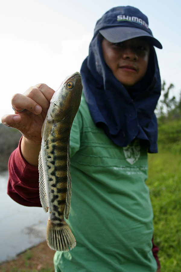 อิอิ