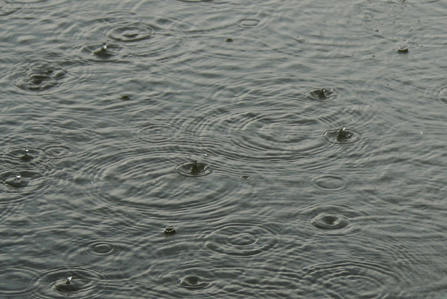 ไม่นาน ฝนก็เริ่มเบาค่ะ  