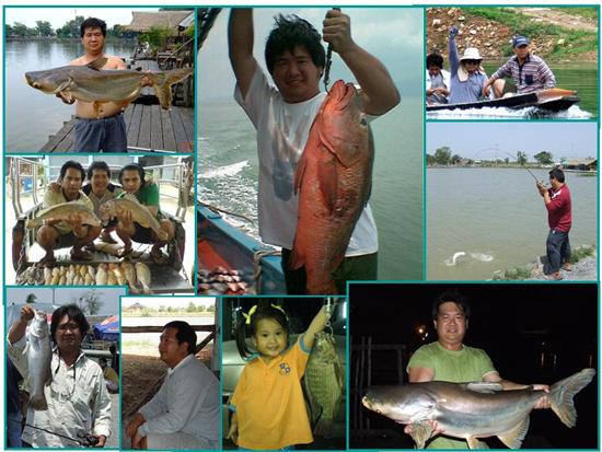   [q][url='ร้านค้าประจำหมู่บ้าน มีตั้งแต่ สากเบือยันเรือรบครับ ']ร้านค้าประจำหมู่บ้าน มีตั้งแต่ สากเ
