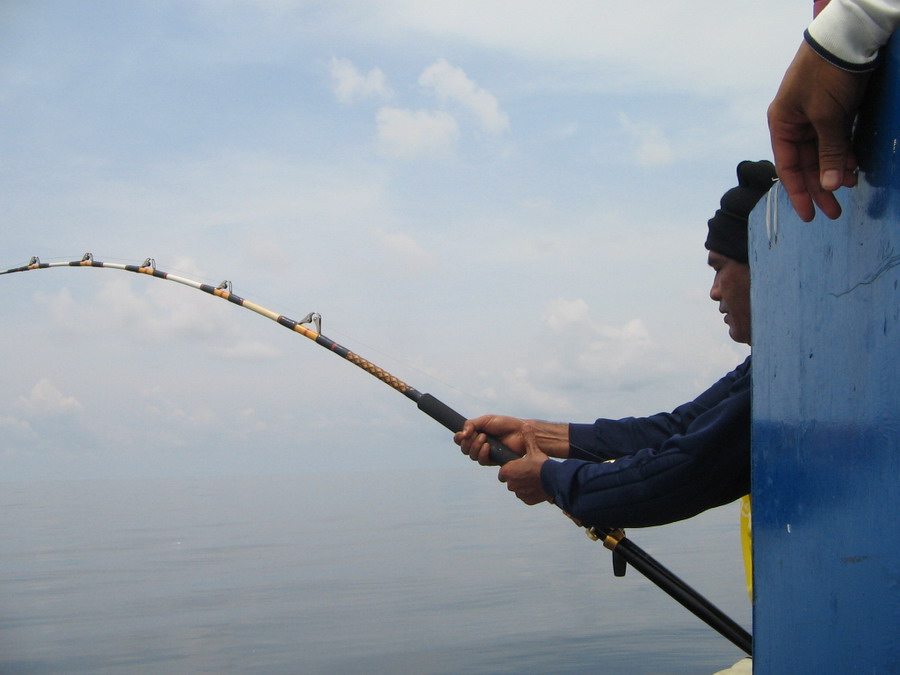 อีกไม่นานเจ้า Avet Pro EX 50/2 ด้านท้ายเรือ เหยื่อปลาโอก็เริ่มทำงาน...