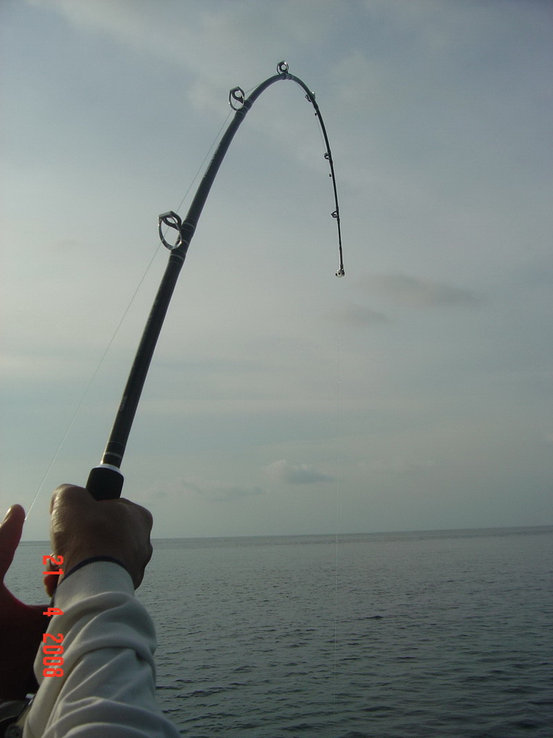 Action..