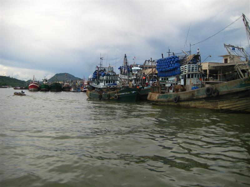 เรือประมงที่จอดอยู่ที่ท่าเรือ