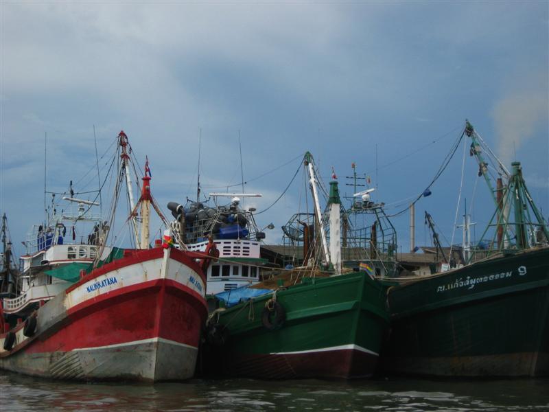 กองเรือประมง