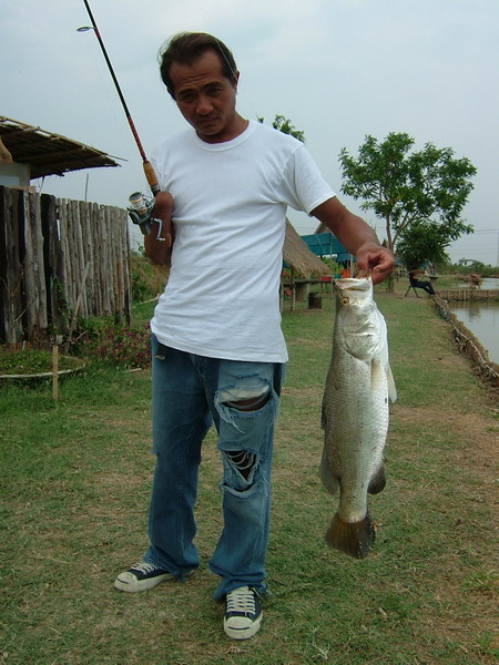 ชายฟิชชิ่งปาร์ค ครับ บางนา-ตราด ขาเข้า กม 34 ครับ 

http://www.siamfishing.com/board/view.php?tid=