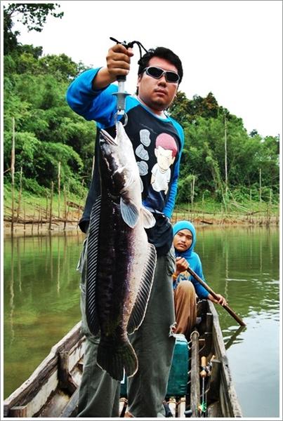 โทรฟี่ของผลครับ บนระยะทาง 800 กิโลเมตรและนั่งเรือเข้ามากว่าสองชั่วโมง  :grin: :grin: :grin:


