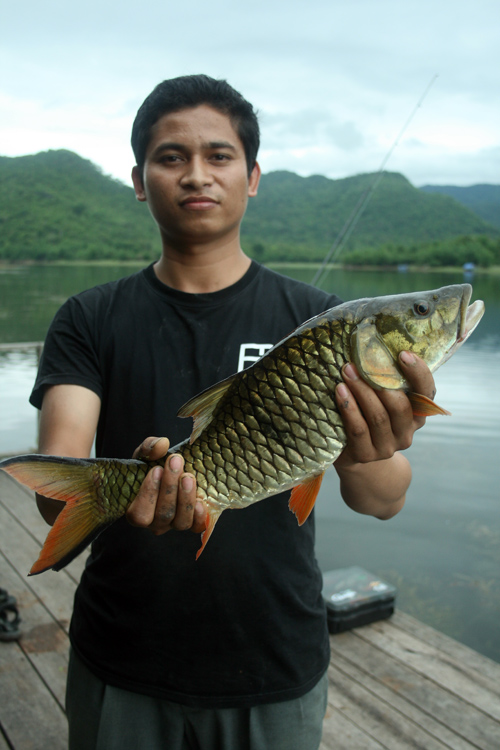 งานเข้าหน้าแพกระสูบใหญ่ เขาคนนี้อีกแล้ว :cheer