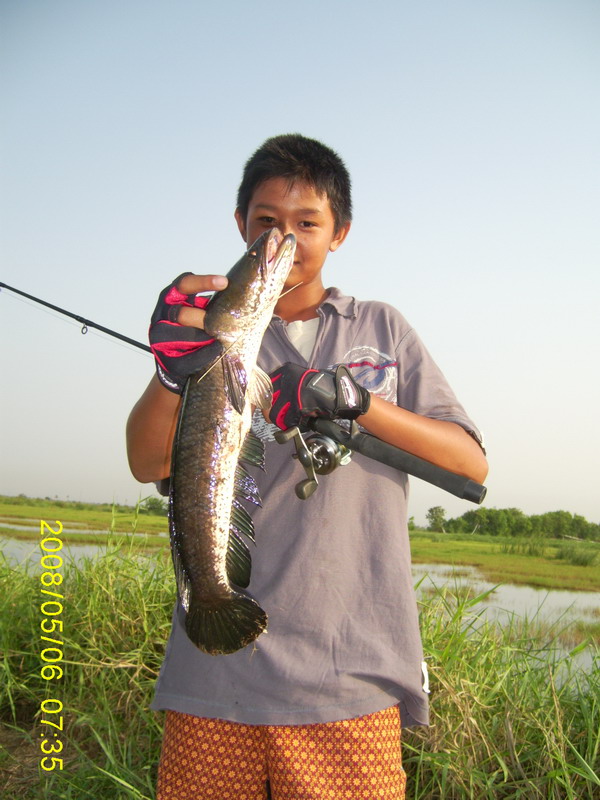  :cool: :cool:...ส่วน น้องบอสก้ไปสอยช่อนที่ไห