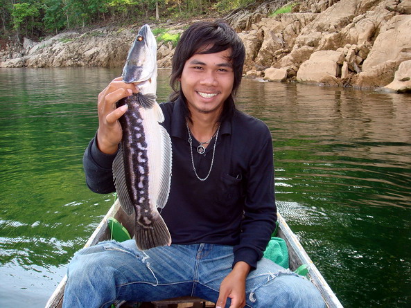  :smile: