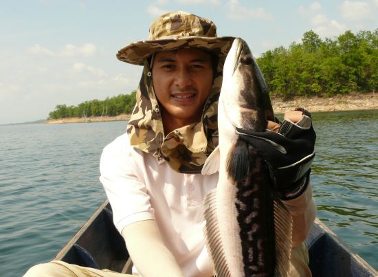 ตาโน๊ต กับ ชะโด