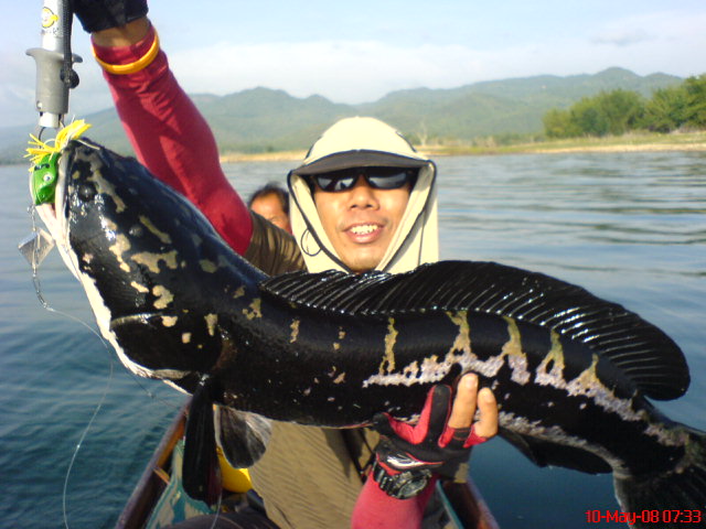 กล้องน้าจิตตินภาพที่4
ดูลายกันชัดๆคับไซค์6อัพนิสๆ..มุดสุดยอด  :love: