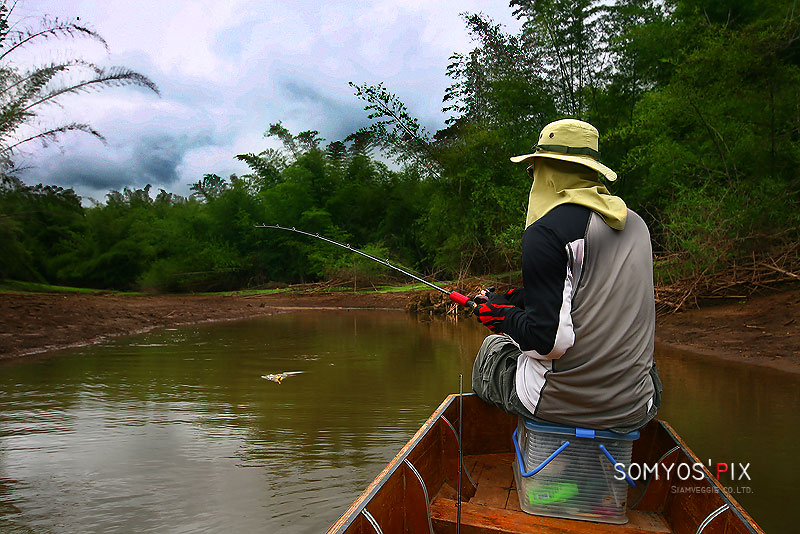 "หุบๆ โผล่ๆ..."  

อยู่ได้ไม่นานเราก็ต้องหนีเข้าหุบอีก  :spineyes: :spineyes: :spineyes: