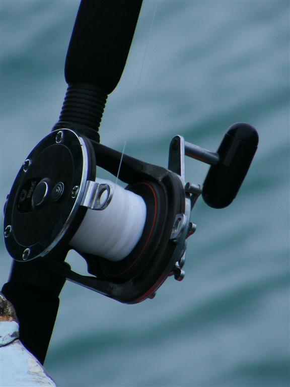           Daiwa Sealine 300H ของผมที่ประกบคันแสมสาร ดูท่าทางวันนี้ ต้องรับแขกแน่เลย กรั่กๆๆๆๆๆๆๆๆๆ