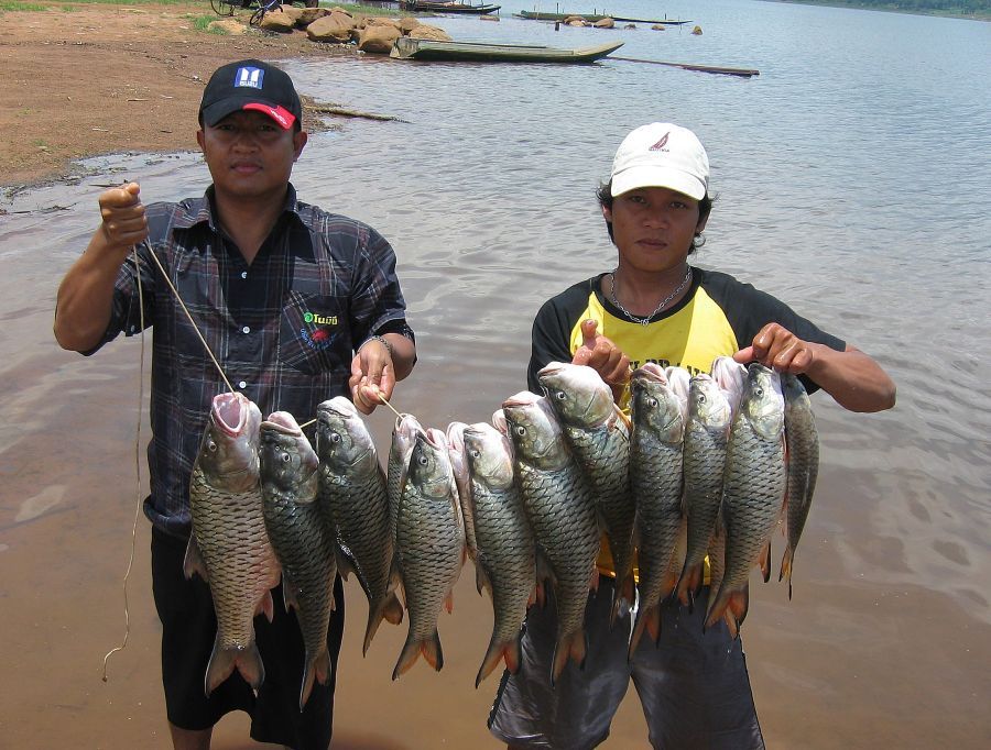  ลาด้วยภาพนี้ครับ



    สวัสดี   ความสุข
   
            เต่า100โล  รายงายจาก  ลำแชะครบุรี โค