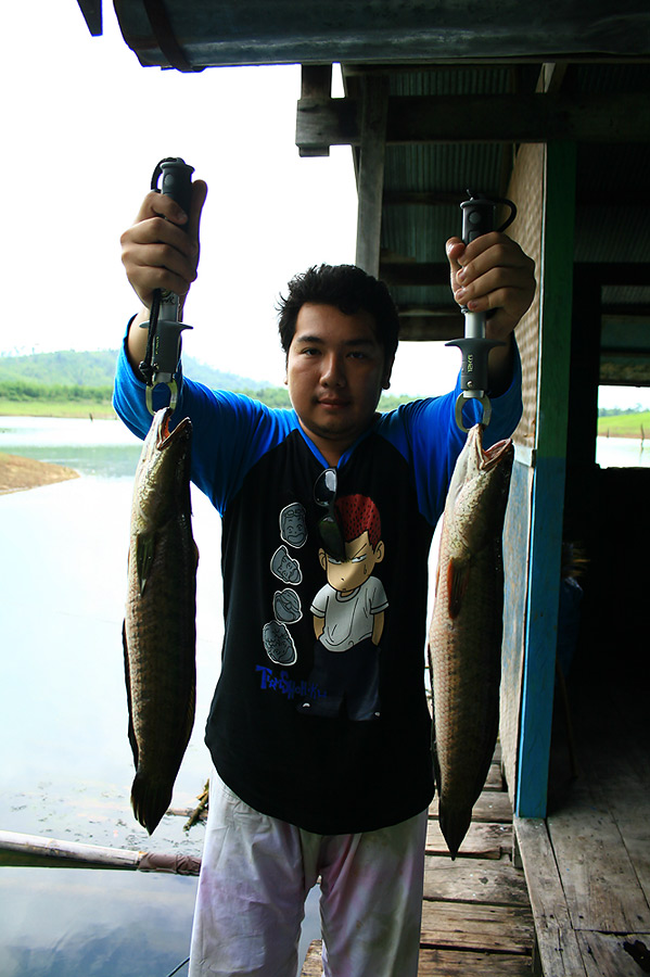 ฮาเอิ๊ดหมานสุดๆ ได้ไอ้ช่อนโลกว่าสองตัว แหลมไปเลย :cheer: :cheer: :cheer: