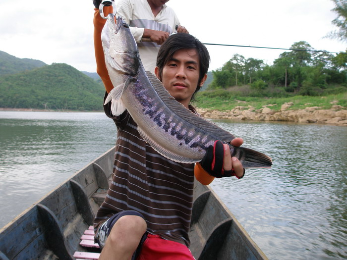 ต่อมาไม่นานผมก็งัดตัวนี้ขึ้นมาอีกหนึ่งตัว :cool: :cool:
