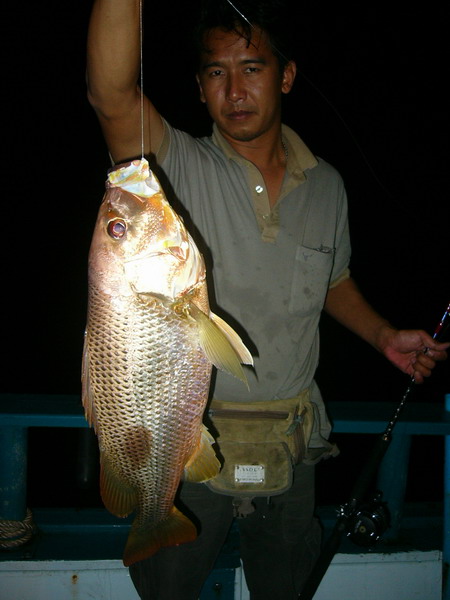 เข้าไปเก็บรูปได้พอดี หมายที่เรามาพักนี้ ชื่อหมายเรือจม ขนสินค้า จากปานามา เรามาพักจุดนี้ ประมาณ 7ชั่