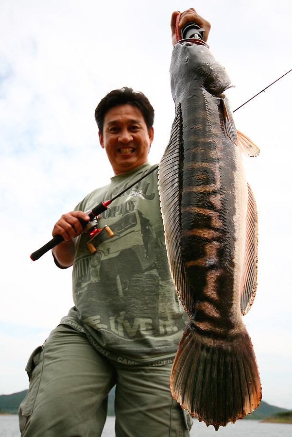 ฝากรูปพวกนี้ไว้ให้ น้าเว็ปฯ ดูนะครับ   :grin: