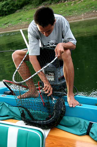 ต้นรอดแว้ววววววววววว           หลังจากที่ปลาขึ้นมาบนเรือก้อได้ยินคำนี้ดังขึ้นจากปาก ..............ชา
