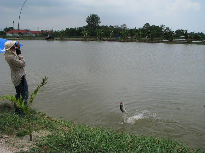 นี่คือบ่อเดิมที่เรานัดหมายกันเข้า