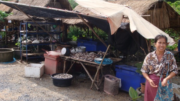 ขับรถผ่านร้านขายปลา เห็นปลาใหญ่ๆแว