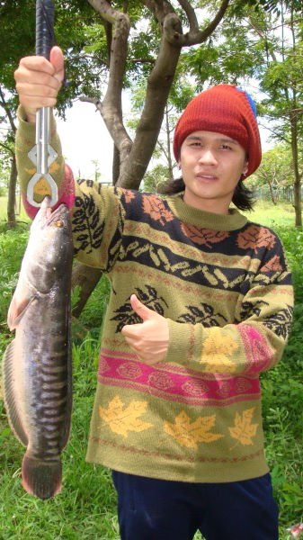 จากม่องนี้ น้าแมน  เอาขึ้นได้อีก 1
ส่