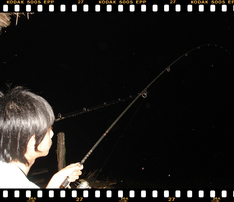ขอบคุณคับ น้า thana_ampawafishing....นอนดึกจัง   :blush: :blush: