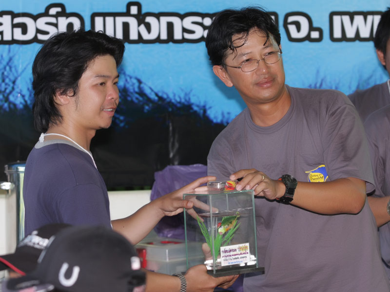 รับรางวัลครับ...ปลาแปลก..ปลานิลกินเหยื่อปลอม