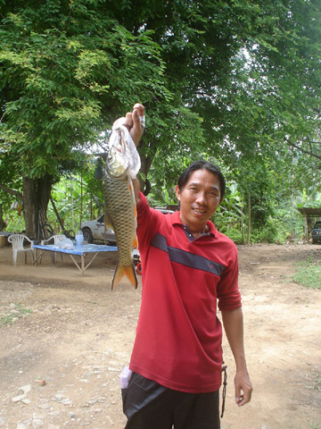 ดีครับน้า Hew??? 

พอไปถึง คนเรือยังไม่พร้อม ฝนพรำๆ....ขี้เกียจรอ เดินลงแก่ง สามไม้เอาเจ้าตัวนี้มา