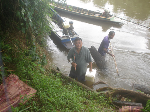 ย้อนกลับมาท่าเรือด้วยหัวใจที่อิ่มเอม.....ทั้งธรรมชาติที่งดงาม ฝูงนกเงือกที่มาให้เห็นบ่อยๆ....ปลา....