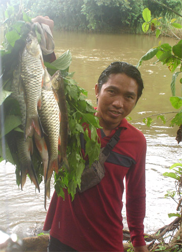 ปลาป่า พริกป่า ใบชะพลู...เย็นนี้กะกินแกงอ่อมใบชะพลูพุงปลา

ขอบคุณที่ติดตามชมครับ....วิถีของการตกปล