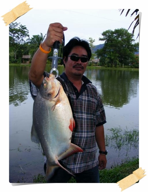 น้าจอมตามมาเย็นเช่นกะปิ(เคย) :laughing: มีคนถ่ายรูปให้แล้วตรู :grin: