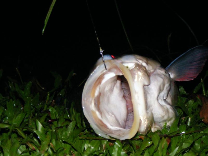 ขอตรวจภายในโหน่ย เอ้า!อ้าอีกนี๊ส :grin: