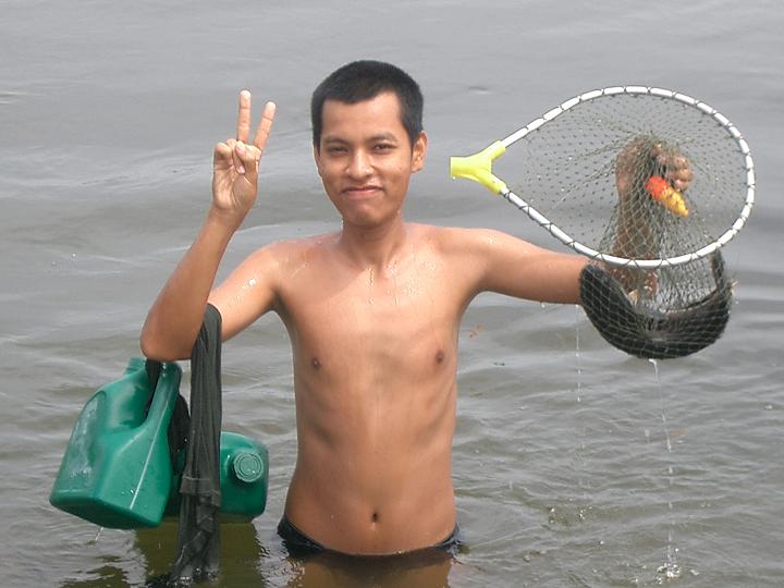 ปลาชะโด ตัวพอกิน กับความพยายามของ น