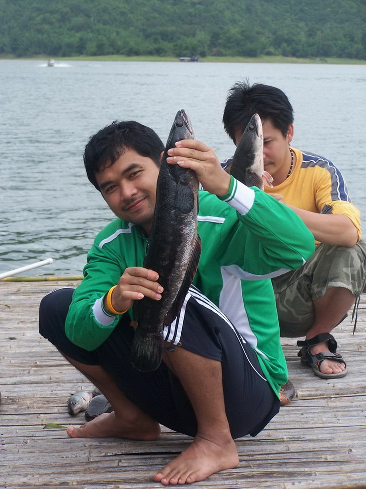 :grin: :grin: :grin:
รูปที่แล้วคนละที่กันกับเขื่อนศรีครับ ให้ทายนะครับว่าที่ไหน...
รูปนี้เก็บตกนะค