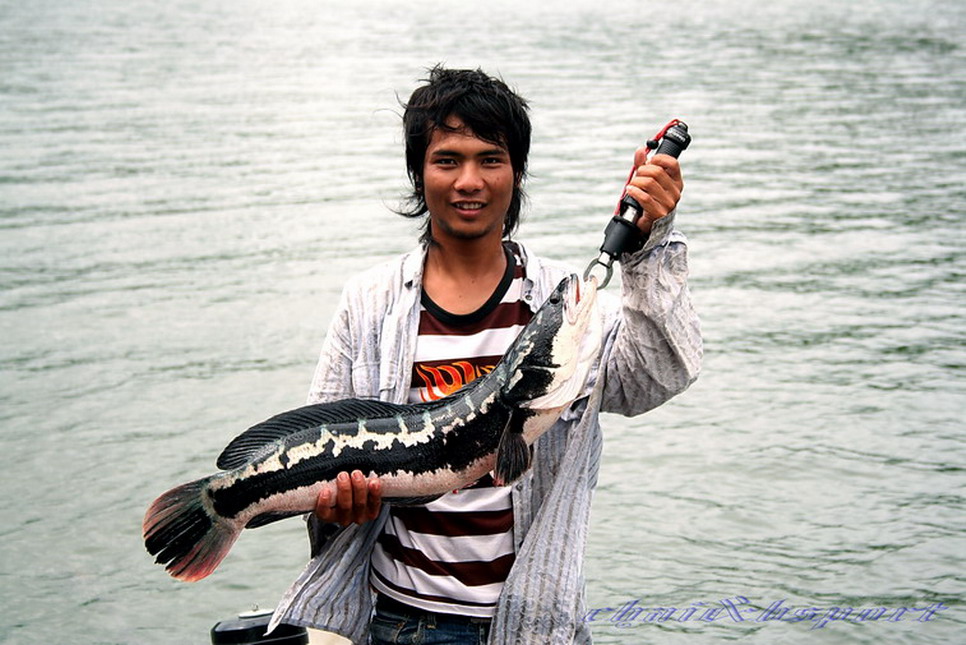 กัดดีจริงๆ มัน มัน มัน มัน มัน มัน มัน  :laughing: :laughing: