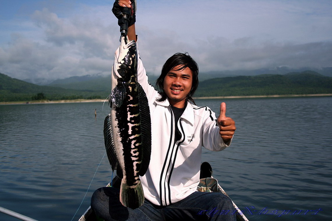 มีอีกเยอะตีเป็นโดนกินดีเป็นบ้า บอกคำเดียว ว่ามัน :laughing: :smile:
