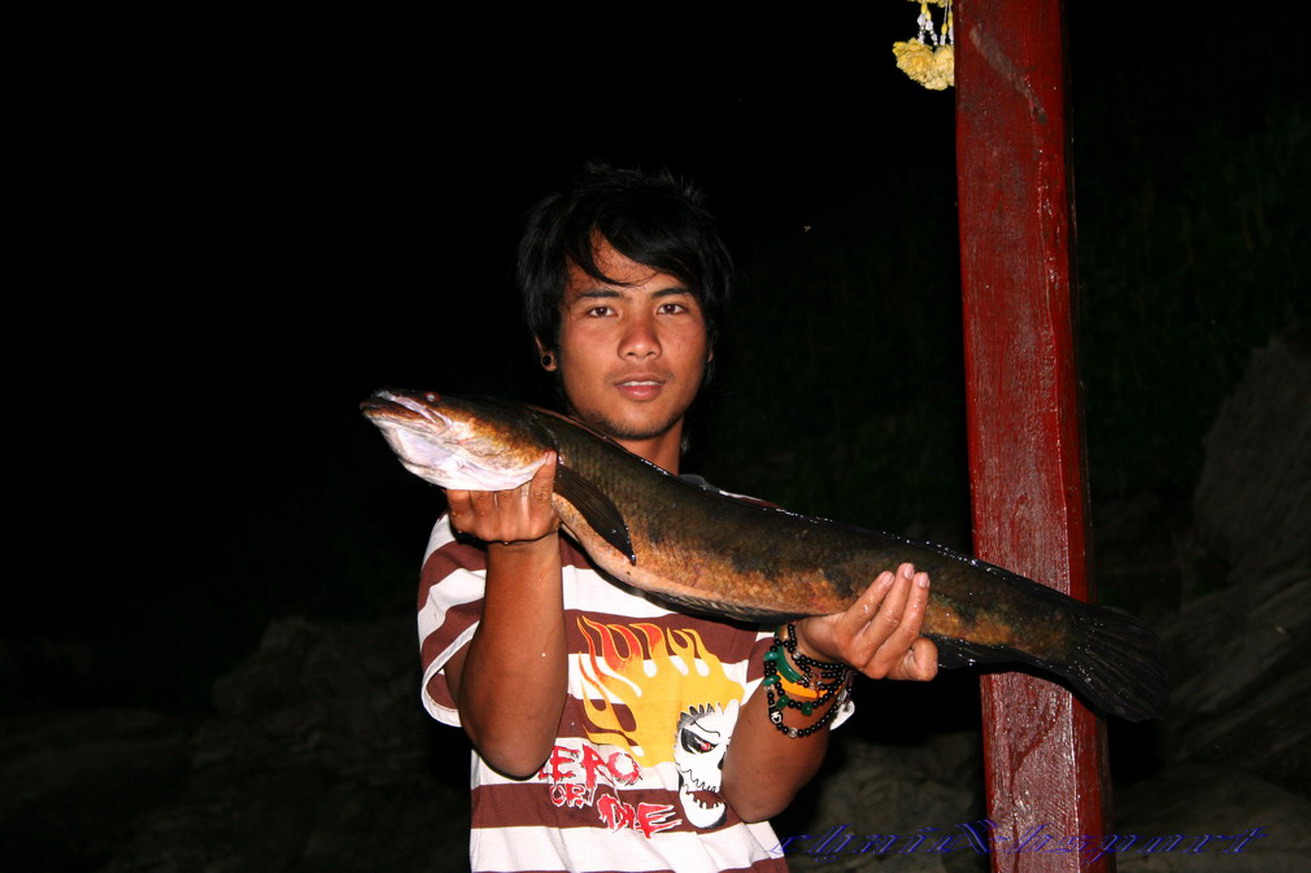 ตกค่ำเรือทุกลำกับมาถึงแพก็นำปลามารูปโชว์กันหน่อย