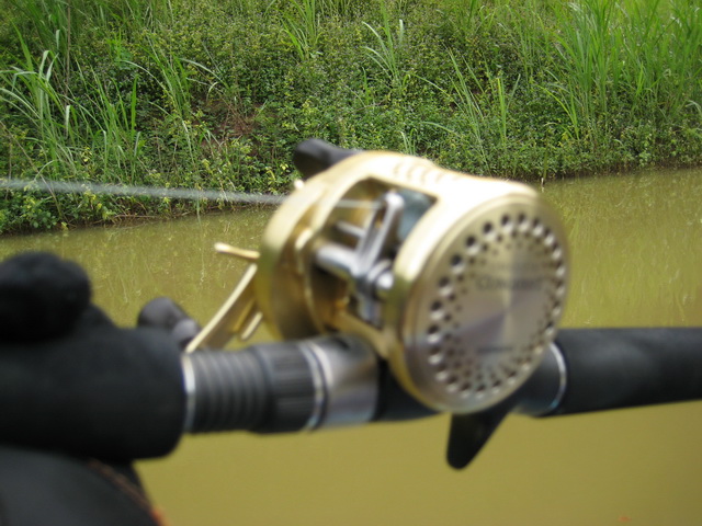 200