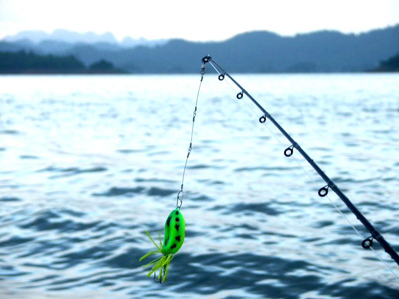 เคยตอบคำถามประมาณนี้ ให้ไปรอบนึงแล้ว ในกระทู้...

[url='http://www.siamfishing.com/board/view.php