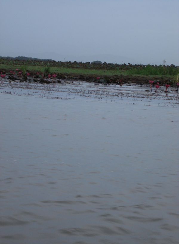 เรือดับเครื่องผิวน้ำเงียบสงบผมกับ